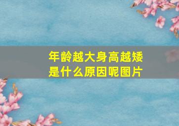 年龄越大身高越矮是什么原因呢图片