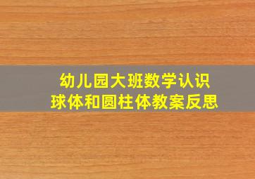 幼儿园大班数学认识球体和圆柱体教案反思