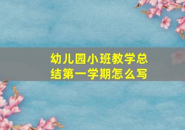 幼儿园小班教学总结第一学期怎么写