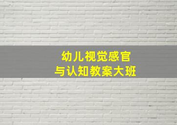 幼儿视觉感官与认知教案大班