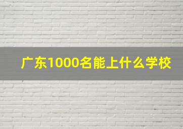 广东1000名能上什么学校