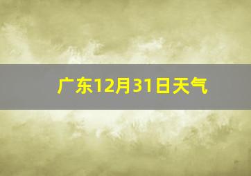 广东12月31日天气