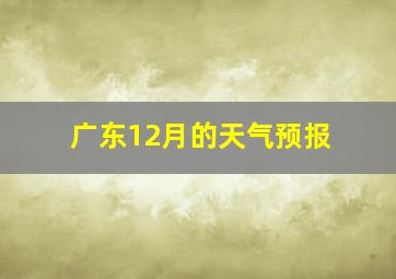 广东12月的天气预报