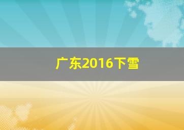 广东2016下雪