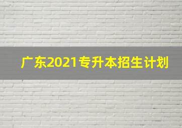 广东2021专升本招生计划