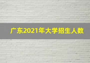 广东2021年大学招生人数