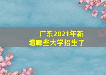 广东2021年新增哪些大学招生了