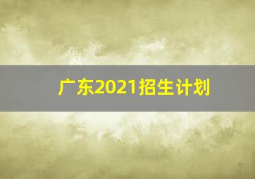 广东2021招生计划