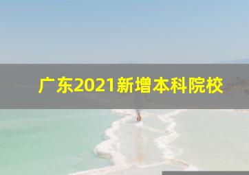 广东2021新增本科院校