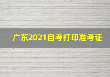 广东2021自考打印准考证