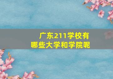 广东211学校有哪些大学和学院呢