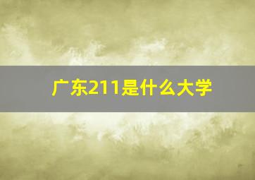 广东211是什么大学