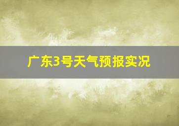 广东3号天气预报实况