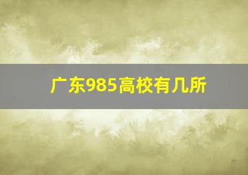 广东985高校有几所