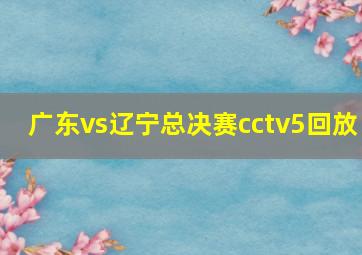 广东vs辽宁总决赛cctv5回放