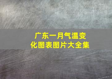 广东一月气温变化图表图片大全集