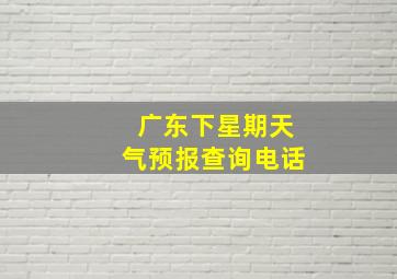 广东下星期天气预报查询电话