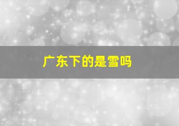 广东下的是雪吗