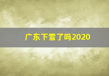 广东下雪了吗2020