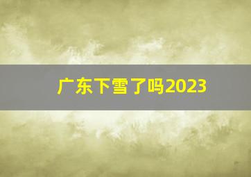 广东下雪了吗2023