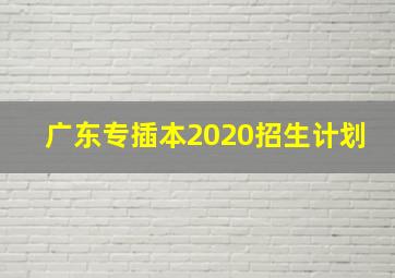 广东专插本2020招生计划