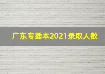 广东专插本2021录取人数