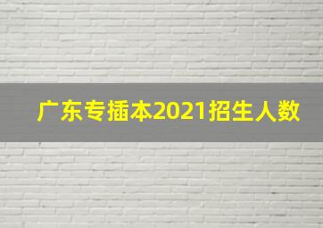 广东专插本2021招生人数