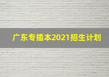 广东专插本2021招生计划