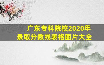 广东专科院校2020年录取分数线表格图片大全