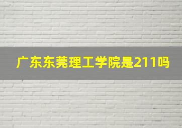 广东东莞理工学院是211吗