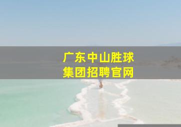 广东中山胜球集团招聘官网