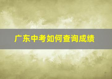 广东中考如何查询成绩