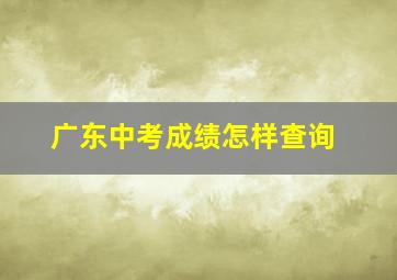 广东中考成绩怎样查询