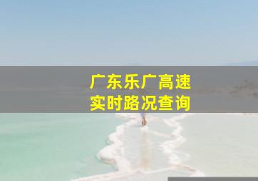 广东乐广高速实时路况查询