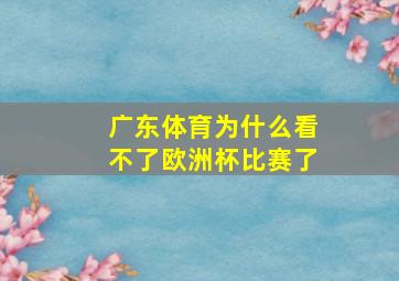 广东体育为什么看不了欧洲杯比赛了