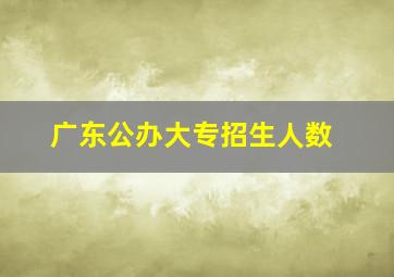 广东公办大专招生人数