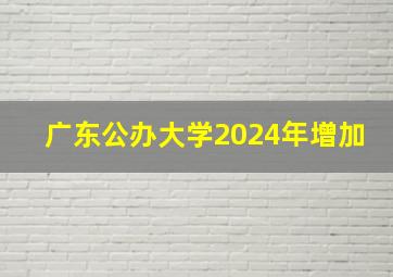 广东公办大学2024年增加