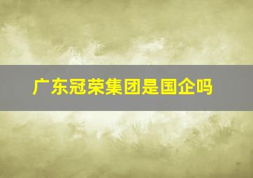 广东冠荣集团是国企吗