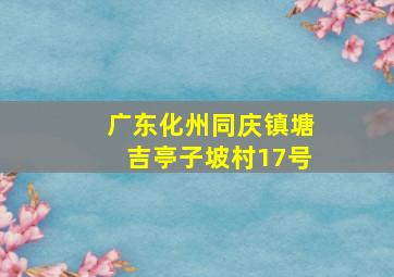 广东化州同庆镇塘吉亭子坡村17号