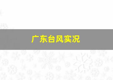 广东台风实况