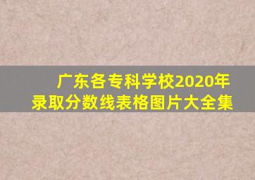 广东各专科学校2020年录取分数线表格图片大全集