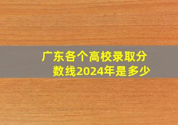 广东各个高校录取分数线2024年是多少