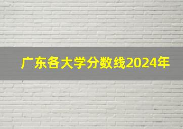 广东各大学分数线2024年