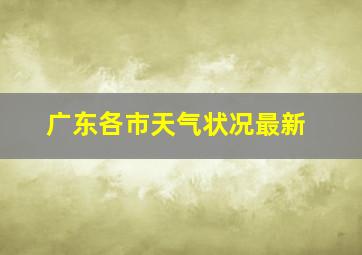 广东各市天气状况最新