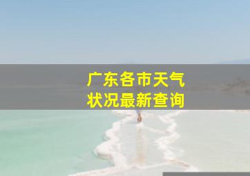 广东各市天气状况最新查询