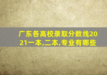 广东各高校录取分数线2021一本,二本,专业有哪些