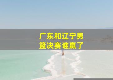 广东和辽宁男篮决赛谁赢了