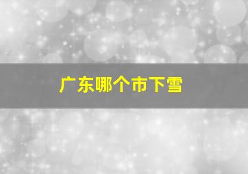 广东哪个市下雪