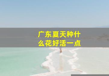 广东夏天种什么花好活一点