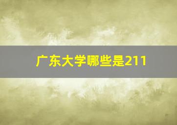 广东大学哪些是211